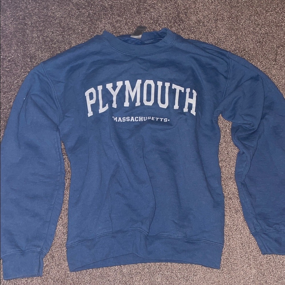 Gildan Men's Crewneck Sweater in Blue